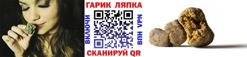 Гашиш гашик  mega ТОР  Шарья 